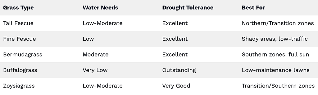 Table listing the best drought-tolerant grasses by region.