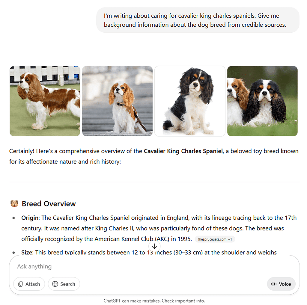 An example of using ChatGPT to provide background information about a particular topic.