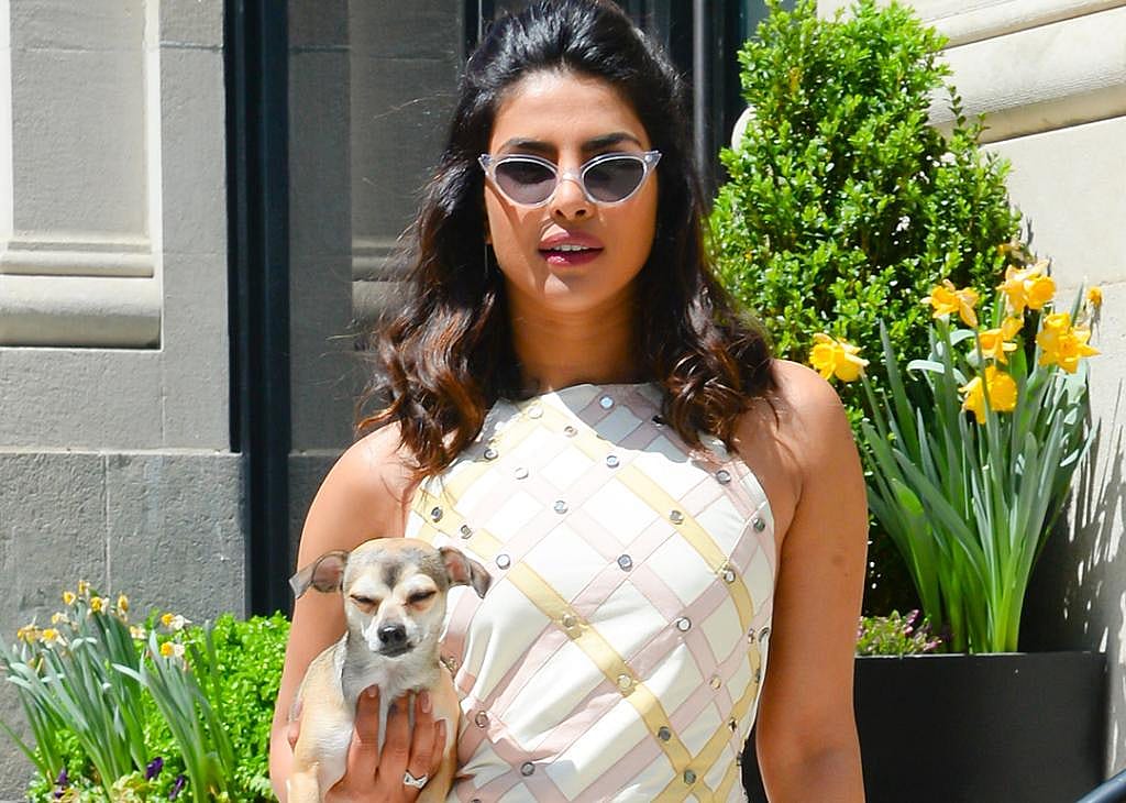 Priyanka Chopra poses with her dog in SoHo, New York City.