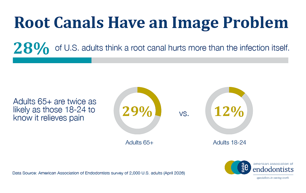 A data graphic showing that 28% of U.S. adults think a root canal hurts more than the infection itself. Adults 65+ are also twice as likely as those 18-24 to know it relieves pain.