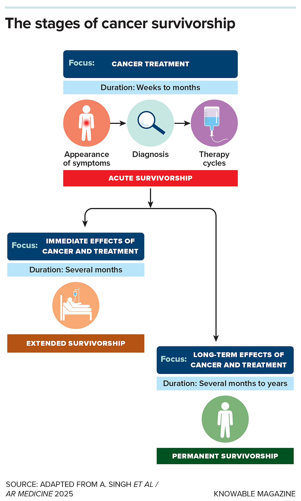Infographic explaining how cancer patients go through several distinct stages: the treatment itself, its immediate consequences and longer-term effects. Few patients today receive medical care focused on those lingering effects.