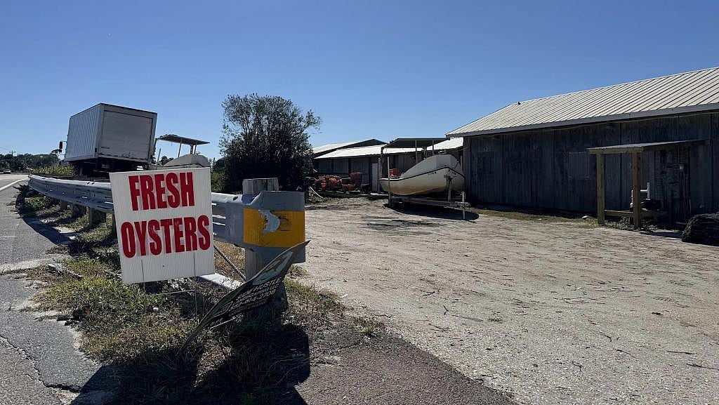 A sign advertises oysters for sale in Cedar Key, Florida.