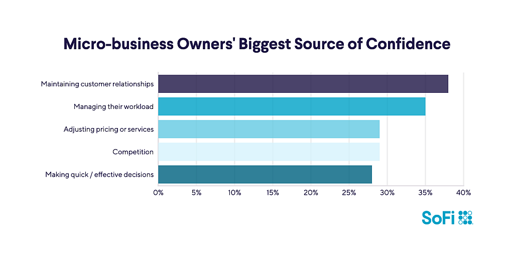 A data chart showing the top sources of micro-business owners' confidence.