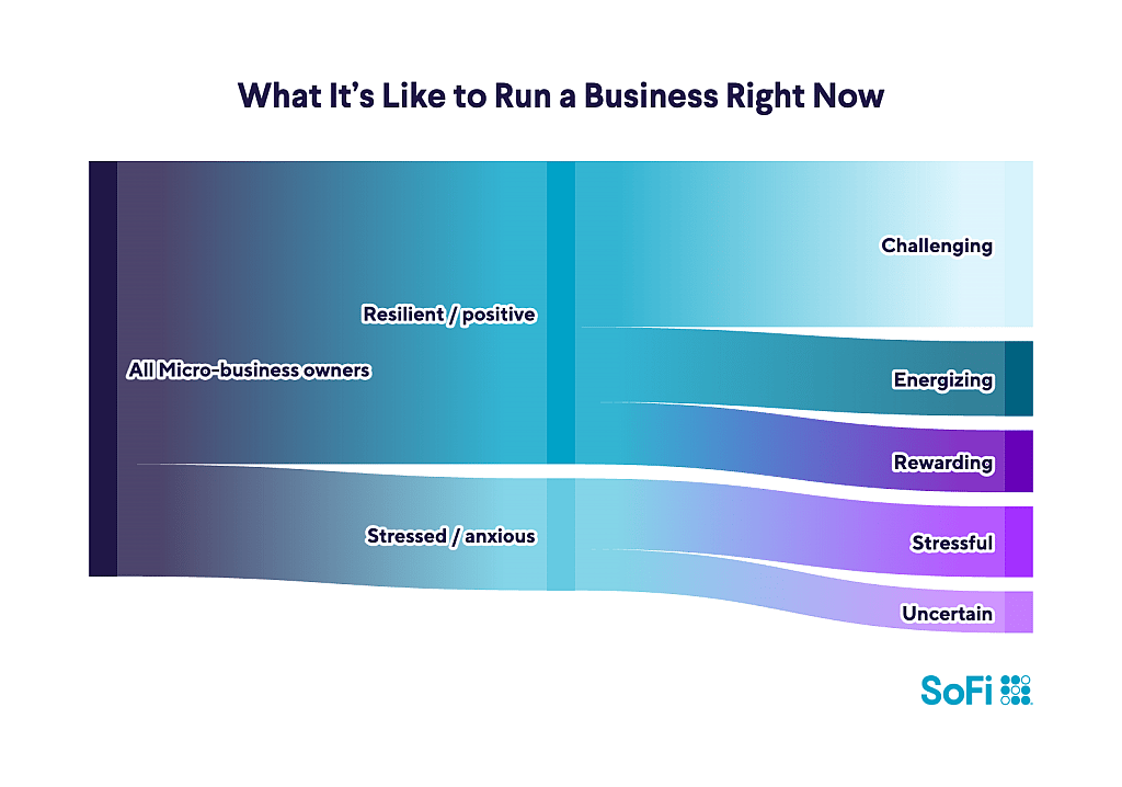 A data graphic showing the leanings of micro-business owners of what it's like to run a business nowadays.