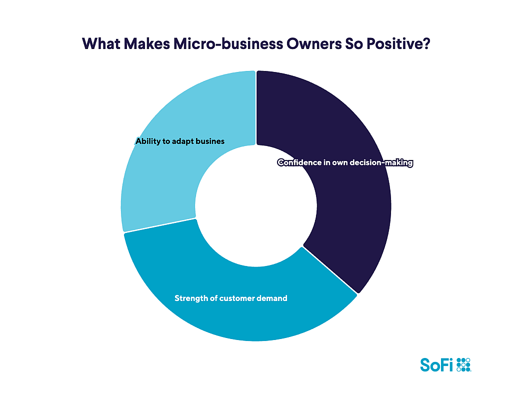 A data chart showing the top factors that make micro-business owners so positive.
