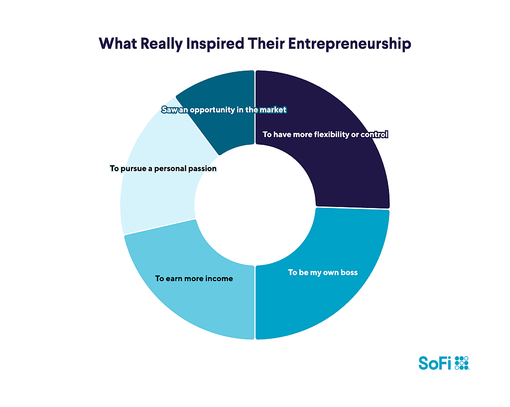 A data chart showing the top factors that really inspired micro-business owners in their entrepreneurship.