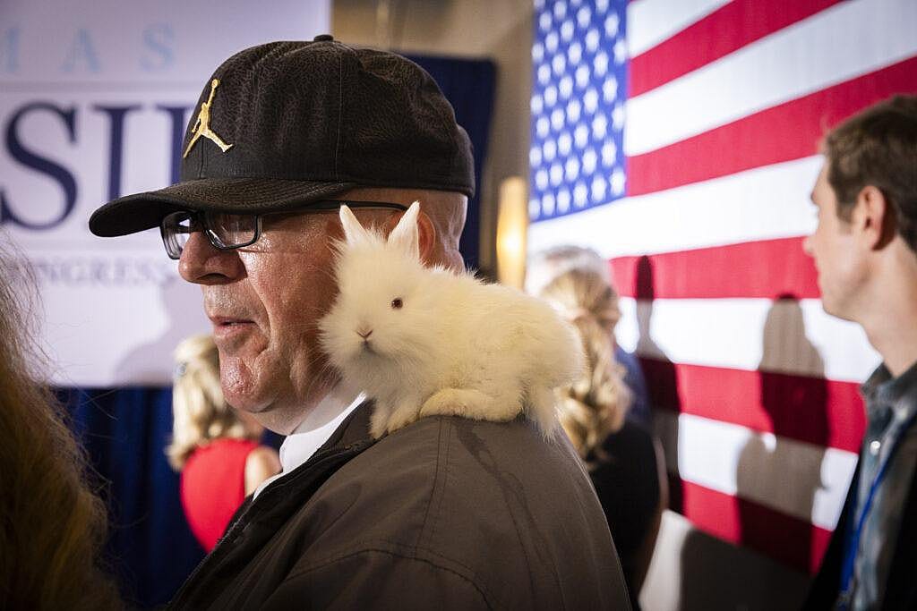 A U.S. Rep. Thomas Massie supporter sports a rabbit on his shoulder at Massie’s watch party in Hebron, Kentucky.
