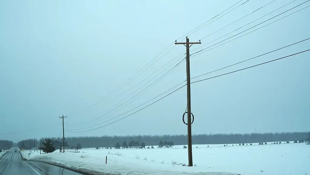 Electric poles and wires along M-32 near Gaylord, Michigan. Wanda Whiting recalls that poles like this were snapped in half during the March 2025 ice storm.