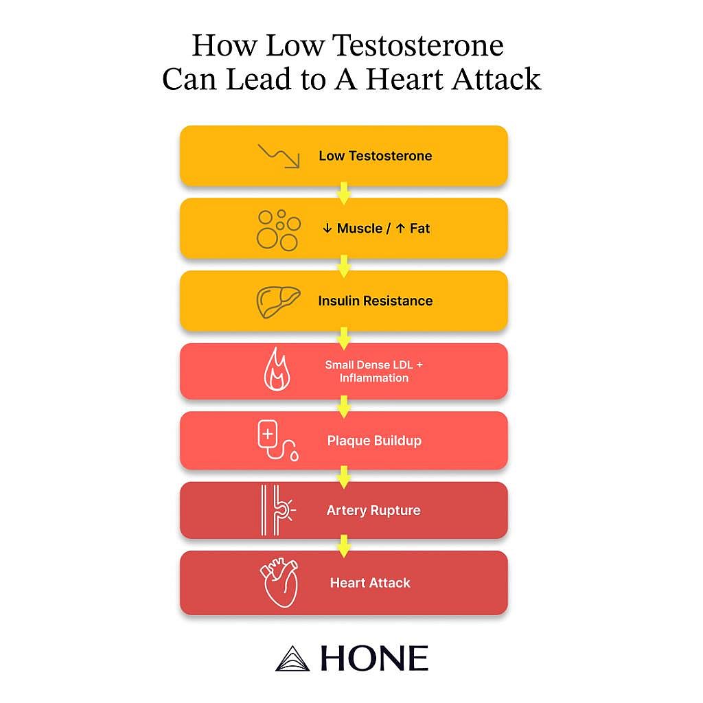 A sequence infographic of how low testosterone can potentially lead to a heart attack.