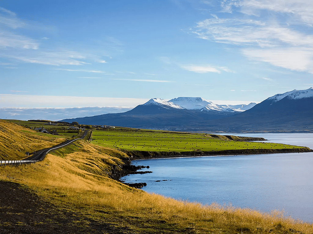 A scenic green landscape with snow-capped mountains in Iceland.
