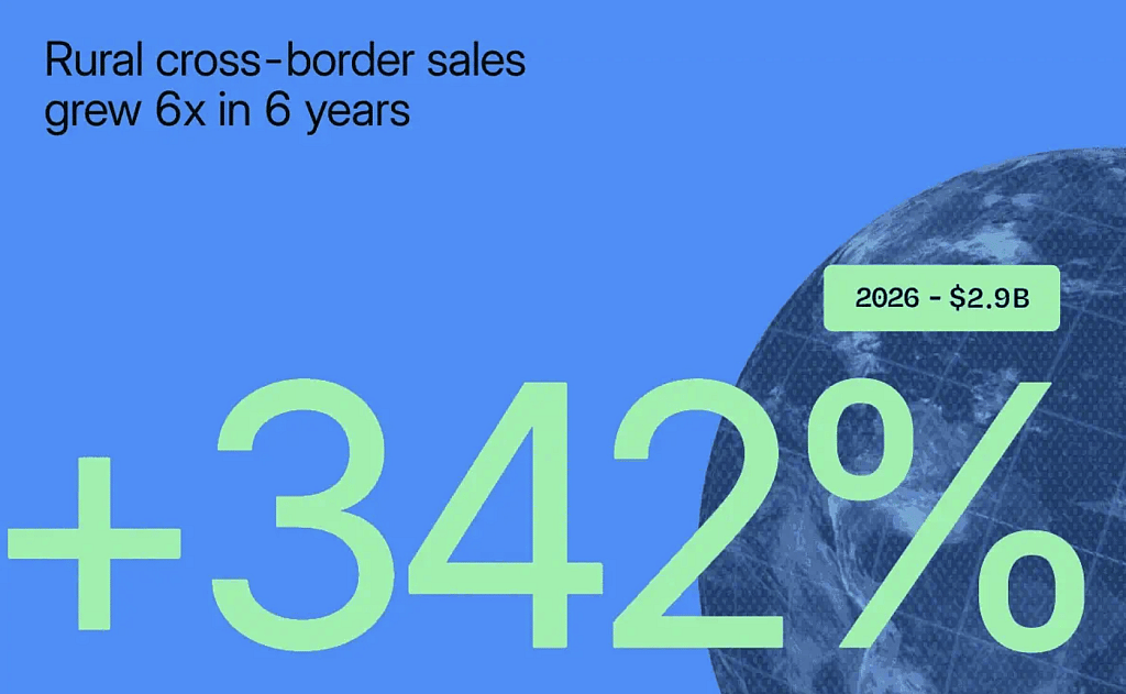 An infographic stating that rural cross-border sales grew 6x in 6 years (about +342%).