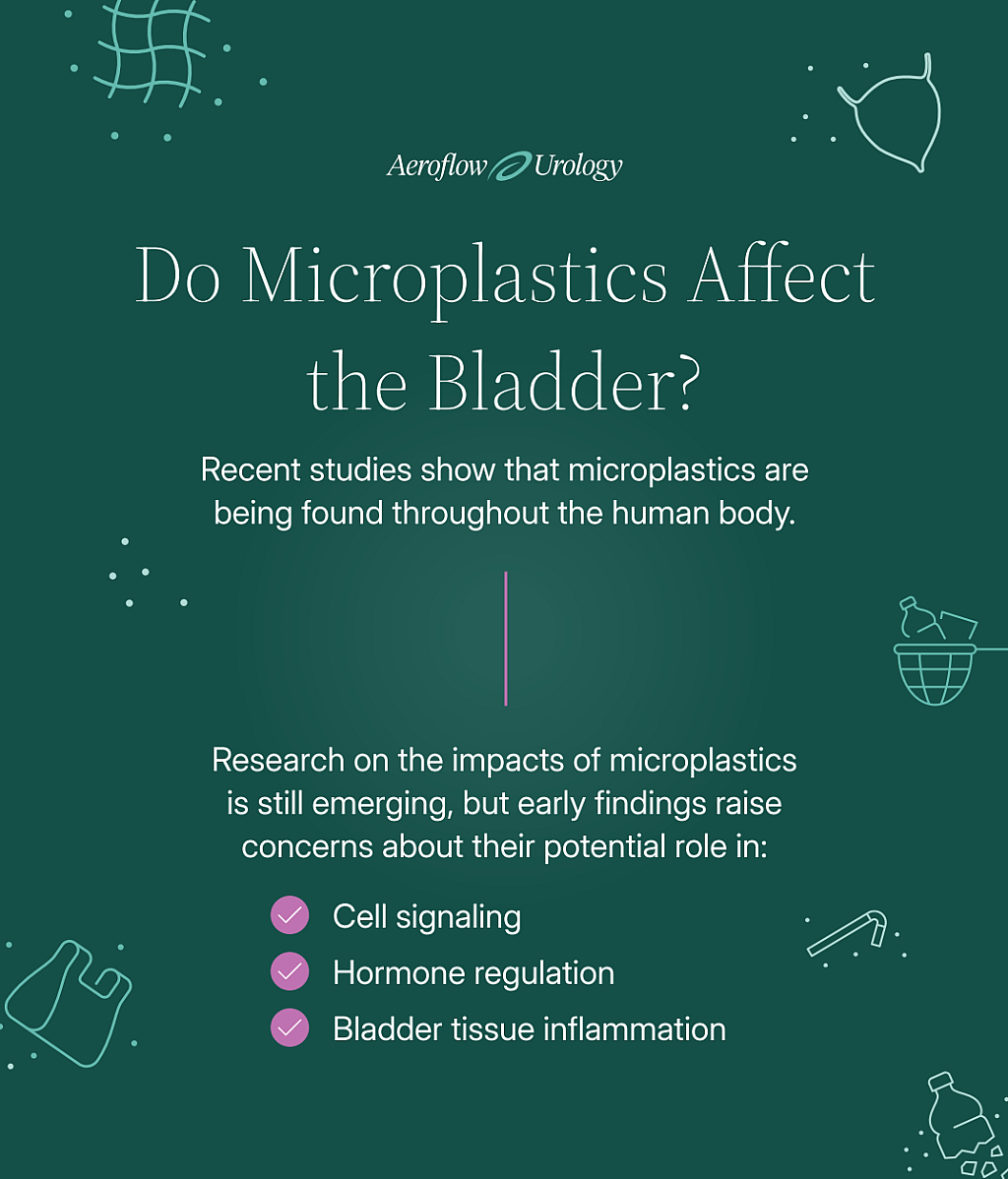 Infographic explaining microplastics' effects on bladder tissue, hormones, and cell signaling.