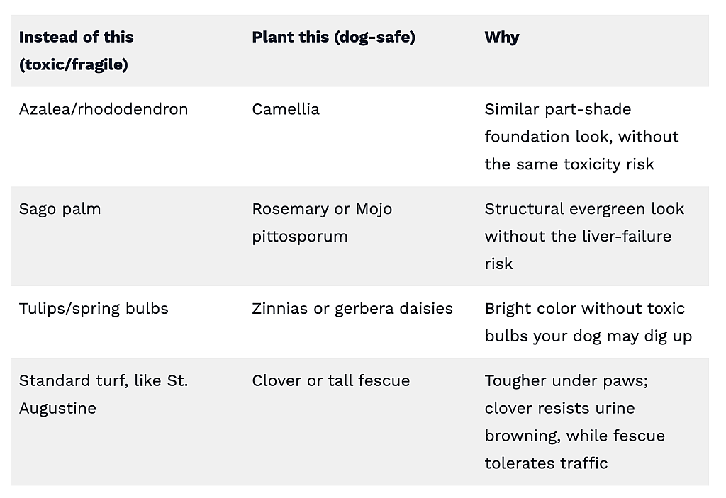 Table reporting pet-safe plant swaps.