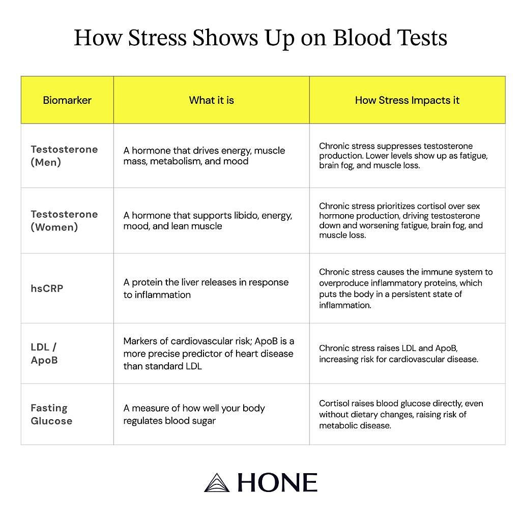 Table defining how stress shows up on blood tests.
