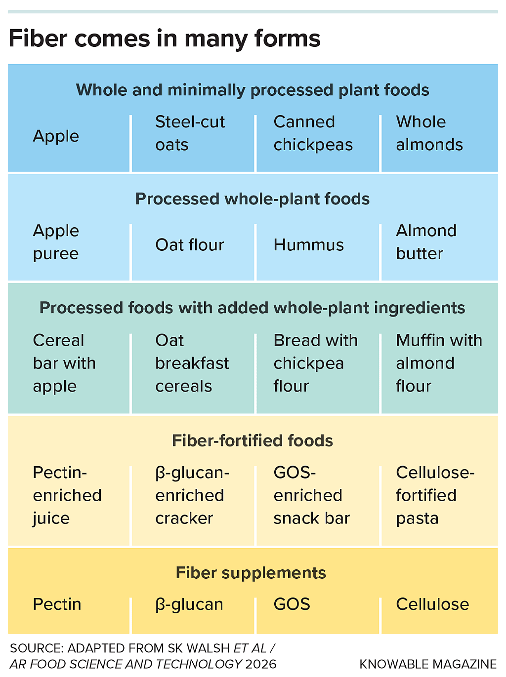 A table listing different sources of fiber ranging from whole-plant foods to processed options and supplements.