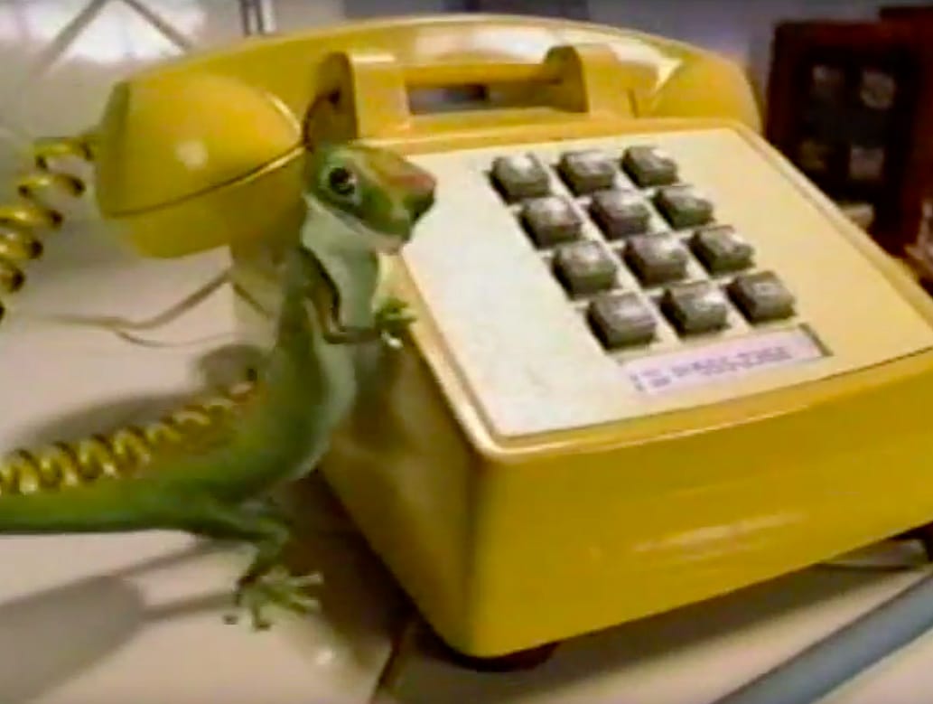 2000: Geico Gecko