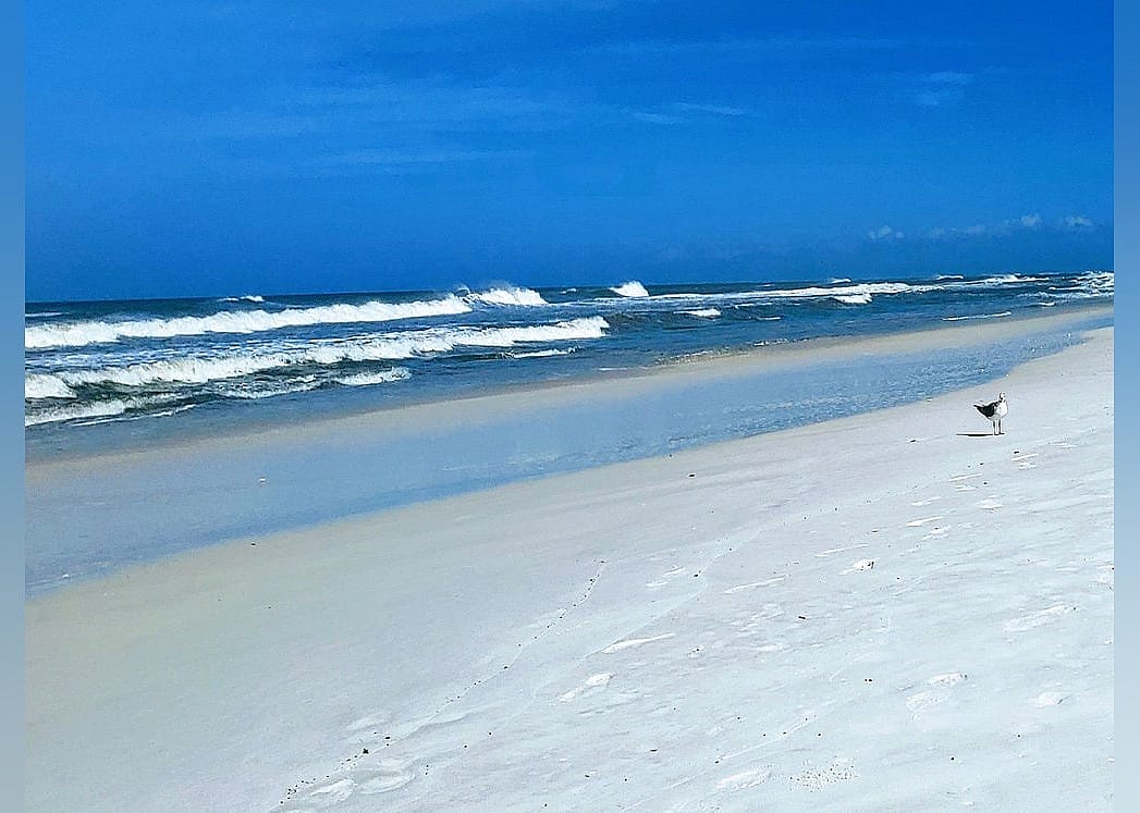 #1. T H Stone Memorial St Joseph Peninsula State Park