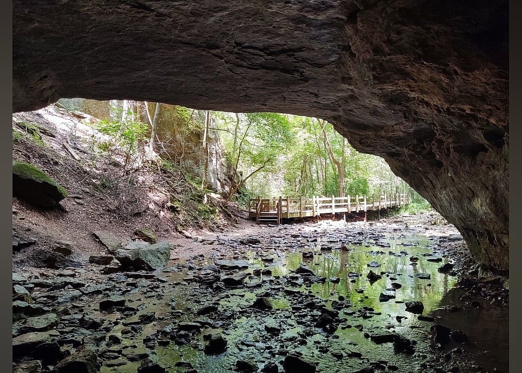 #27. Rock Bridge Memorial State Park