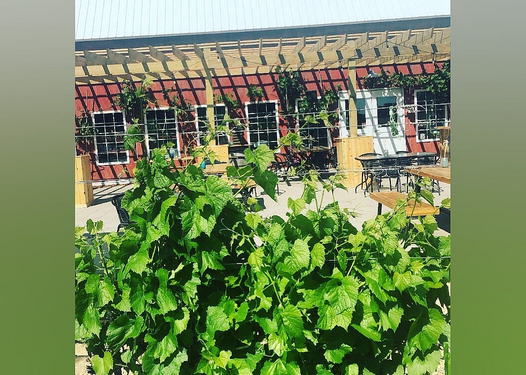 #17. Next Chapter Winery