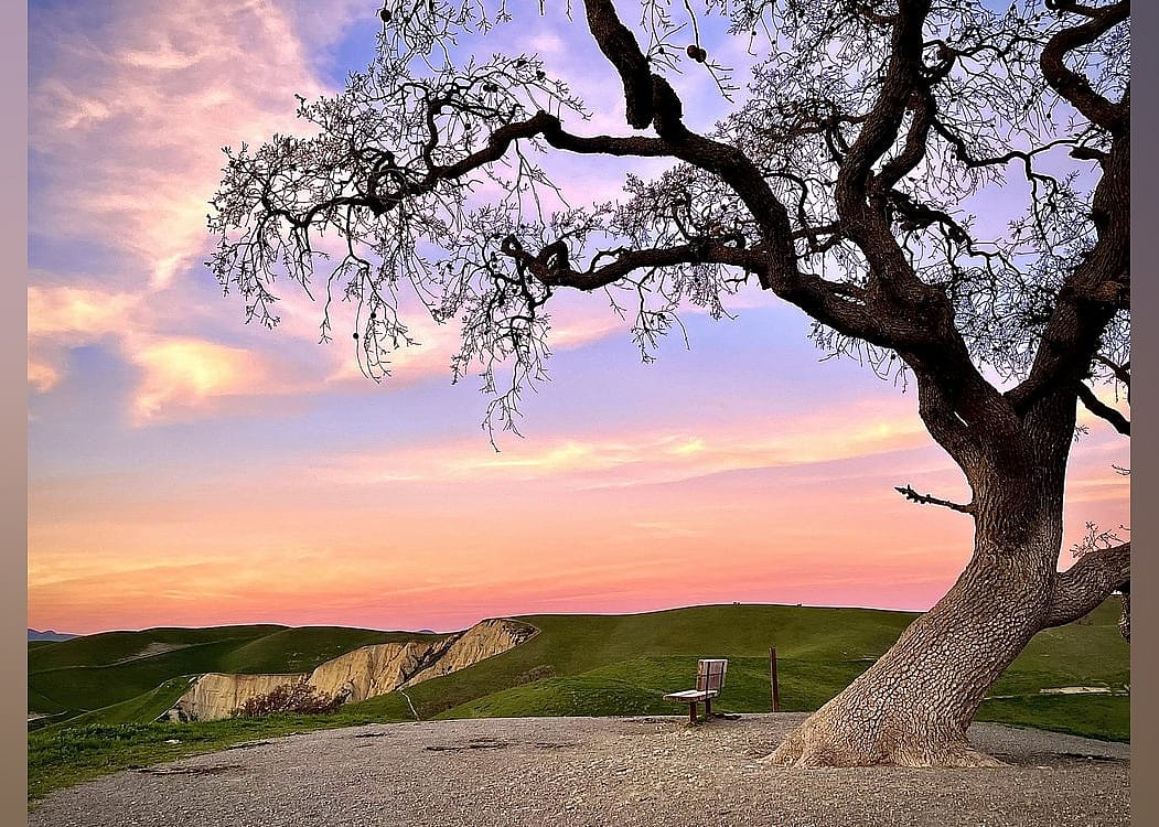 #20. Del Valle Regional Park