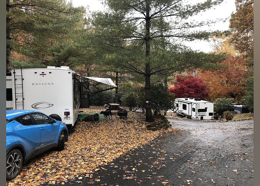 #5. Mama Gertie's Hideaway Campground