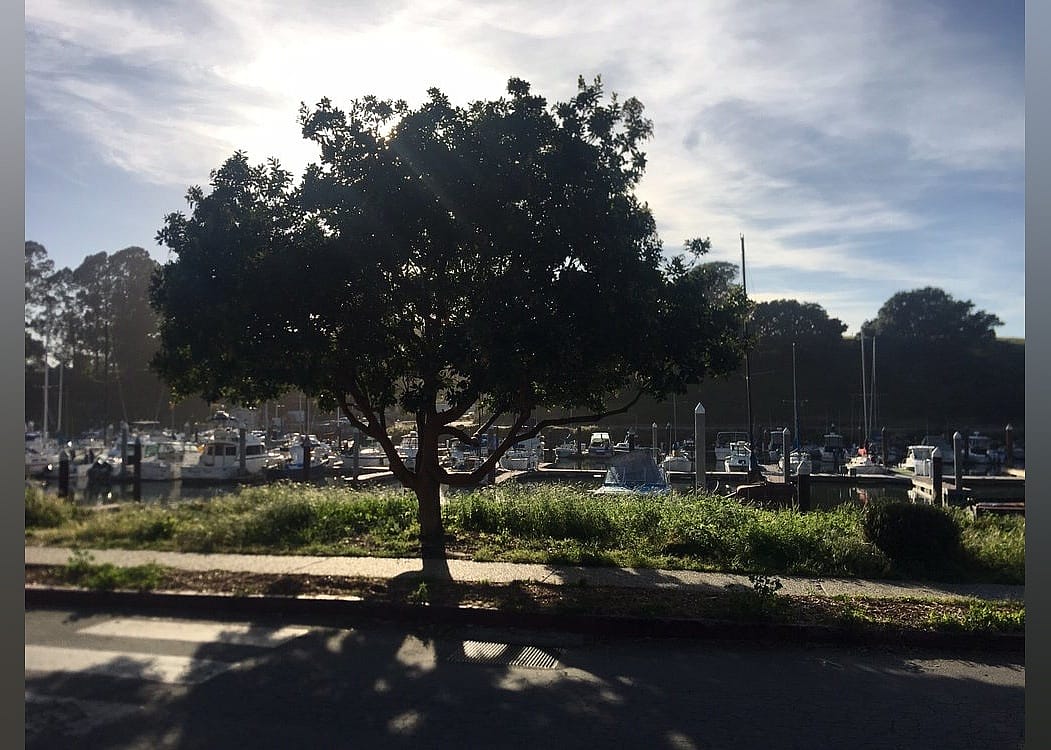 #26. Santa Cruz Harbor Rv Park