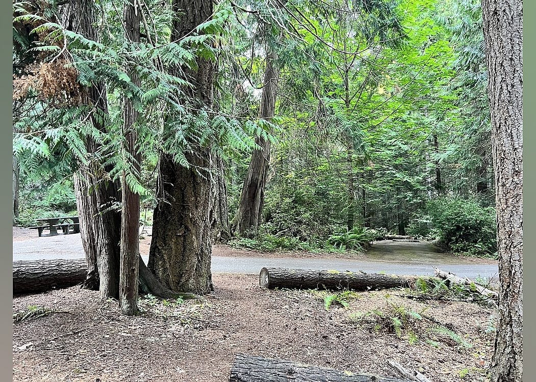 #6. Old Fort Townsend State Park