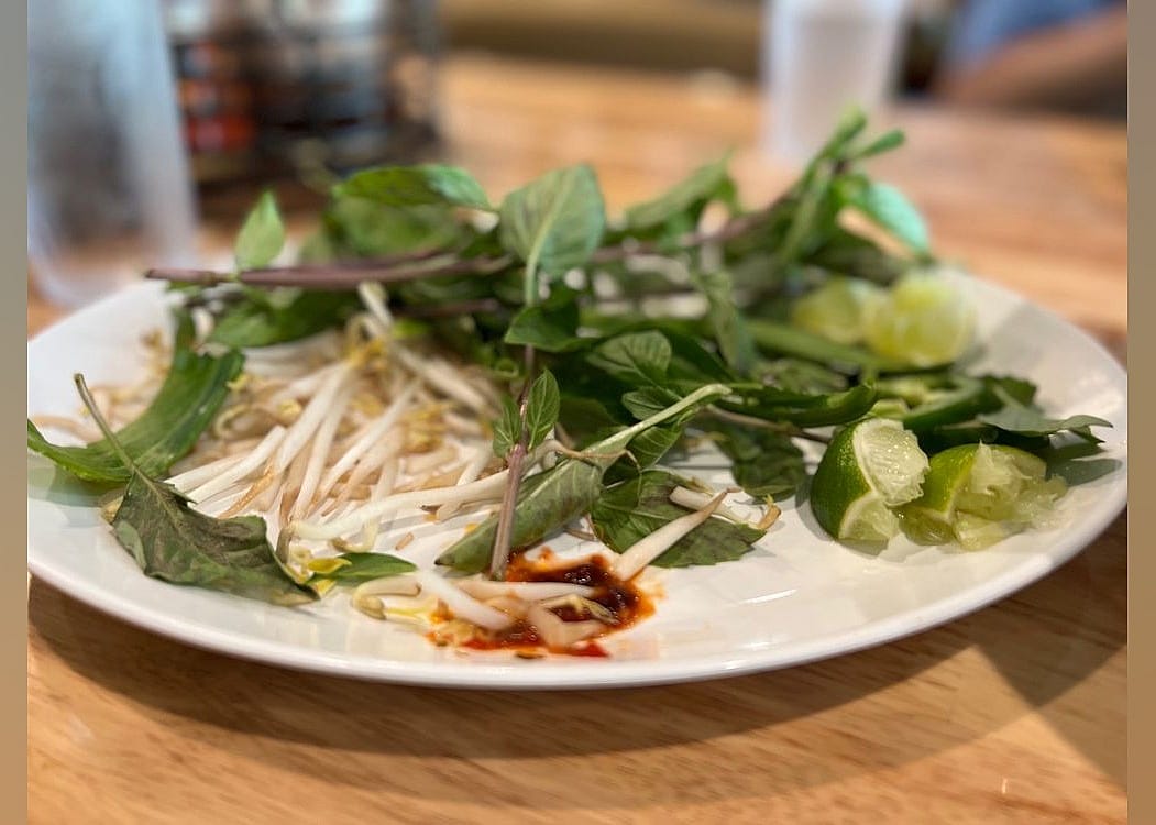 Vietnamese: Photastic