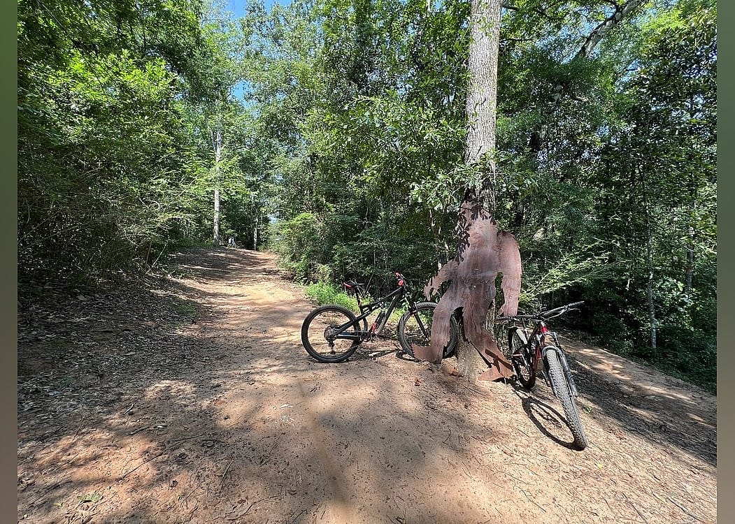Hiking: Dothan Forever Wild Trails