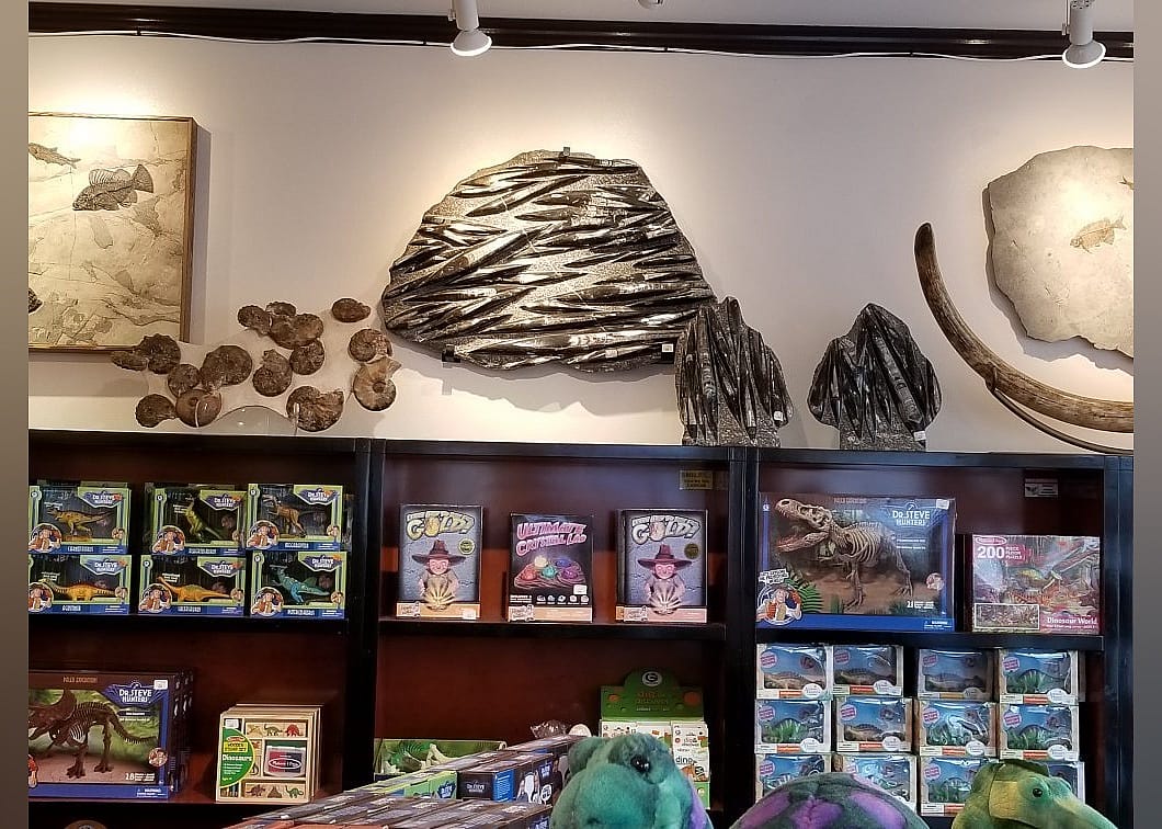 #21. Prehistoric