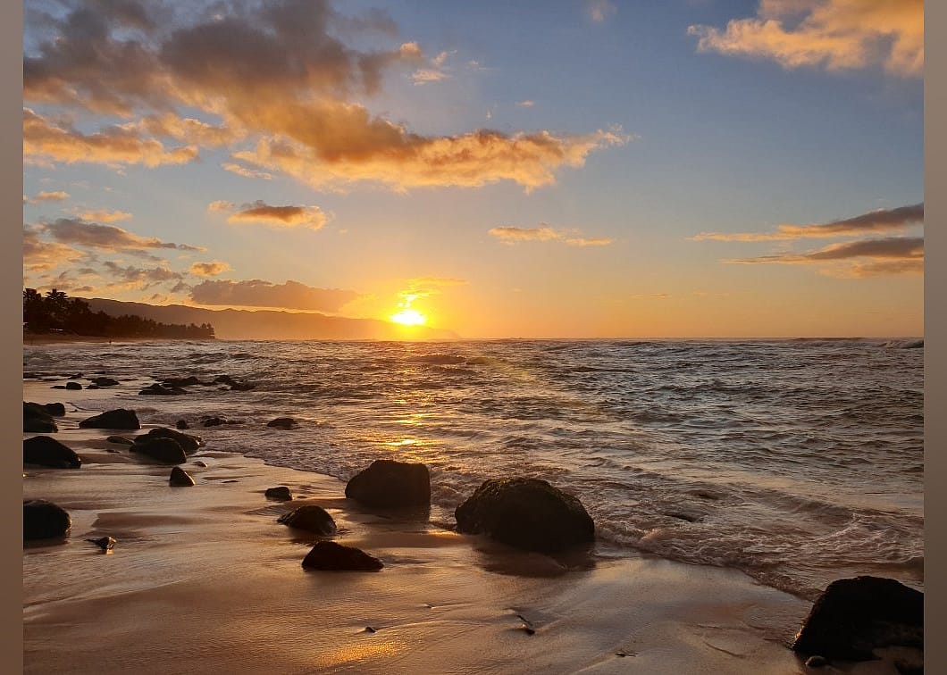#30. Laniakea Beach
