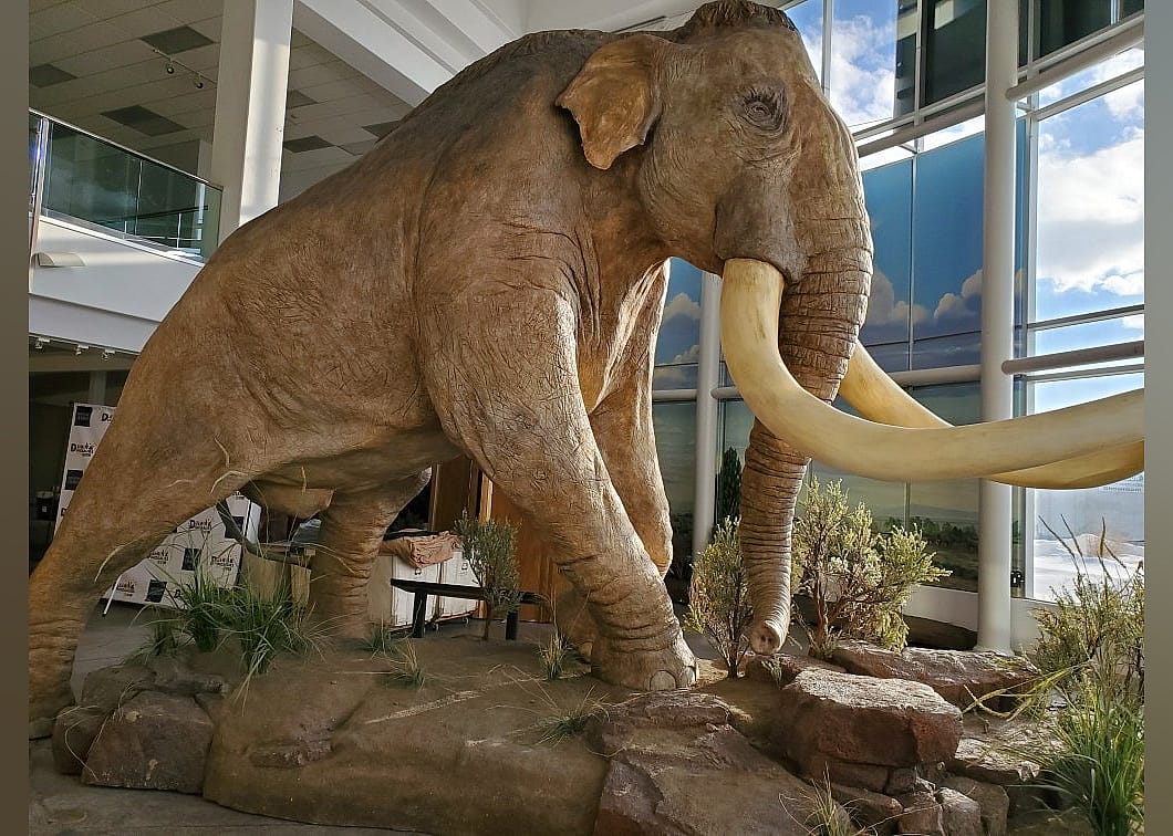 #4. Museum of Idaho