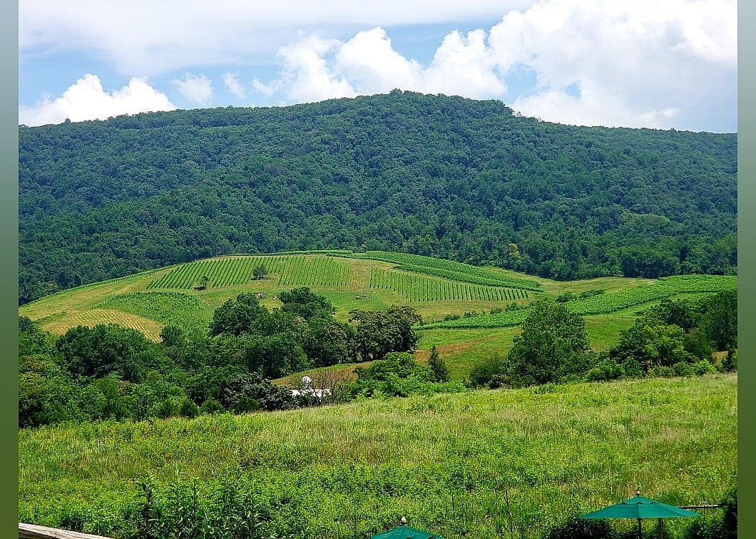 #17. Glen Manor Vineyards