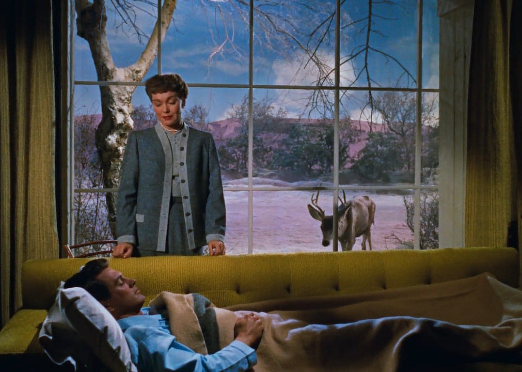 A woman stands over a man lying on the couch under a blanket with a reindeer outside the window in the snow.