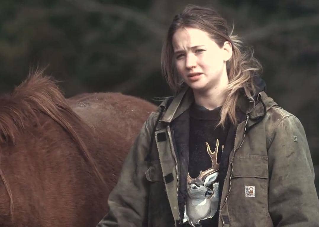#21. Winter's Bone (2010)