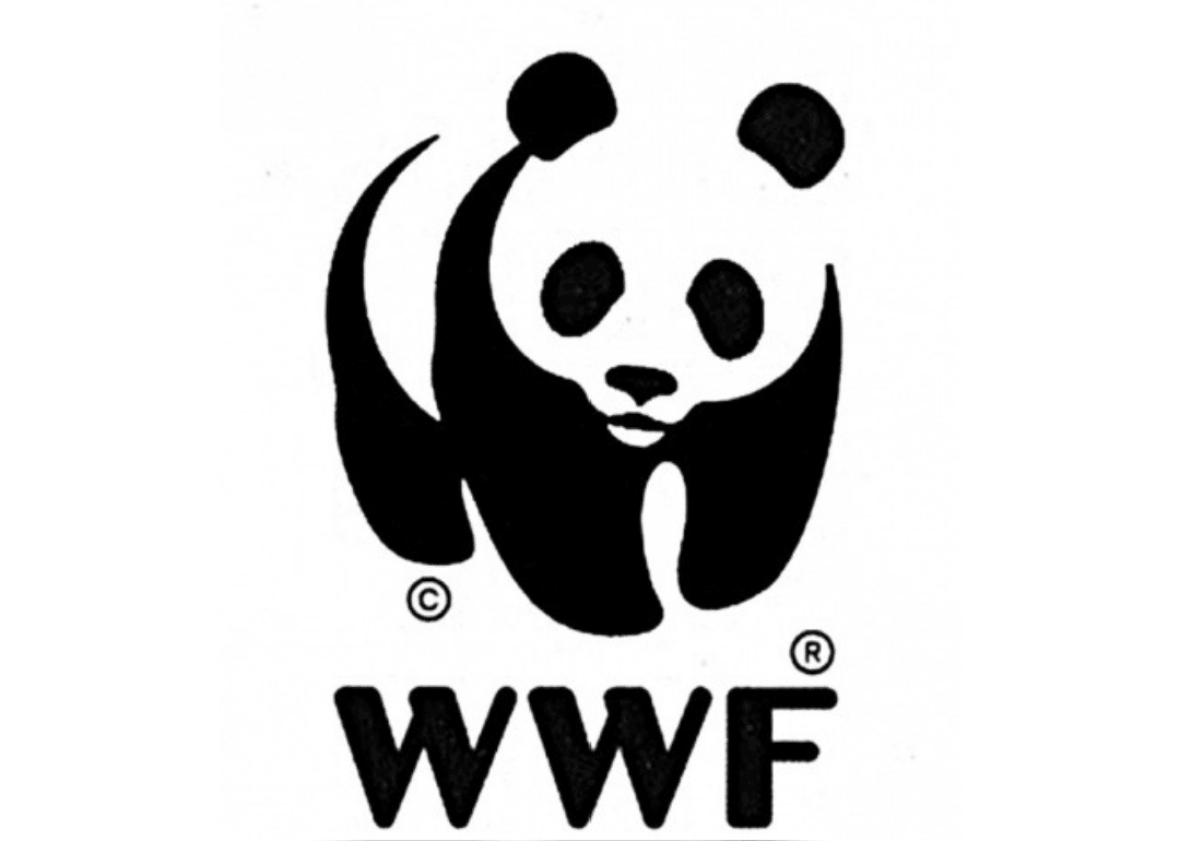 WWF: now