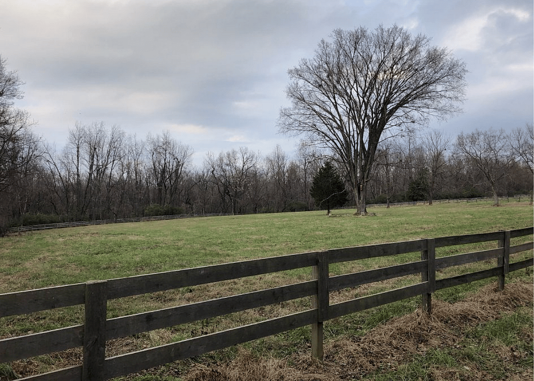 #4. E.P. "Tom" Sawyer Park