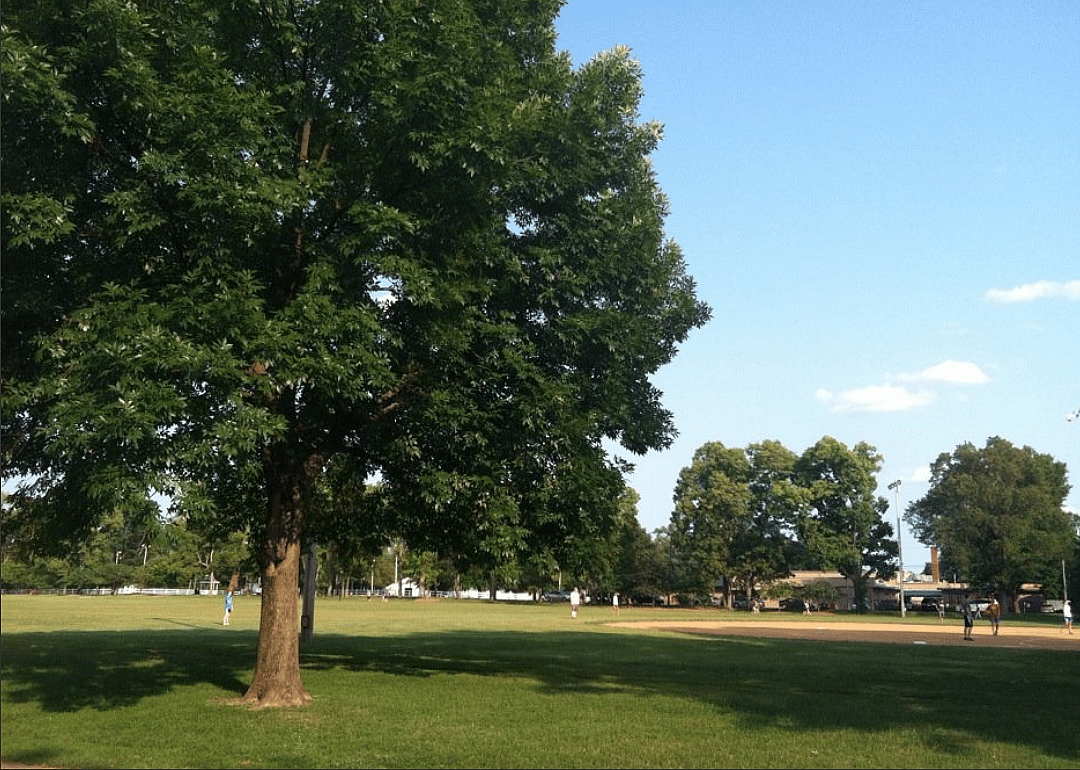 #8. Seneca Park