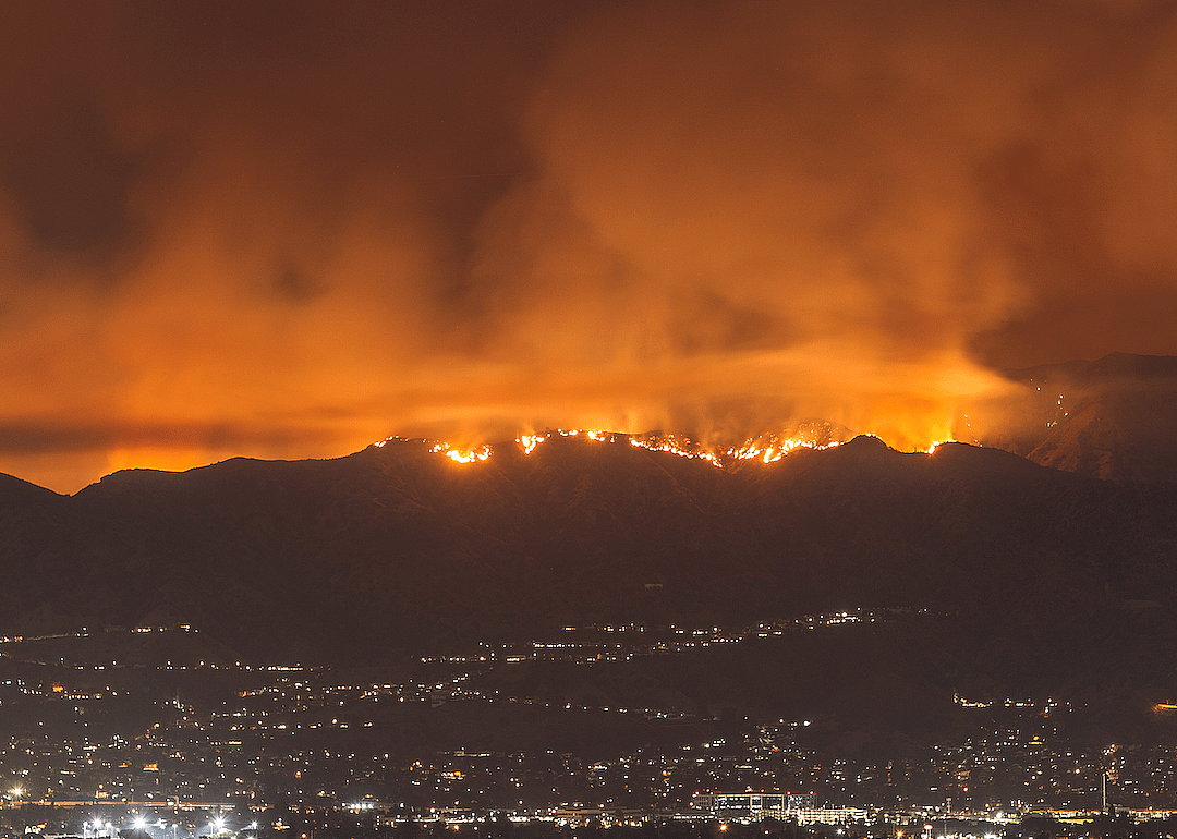 Plan to survive a wildfire