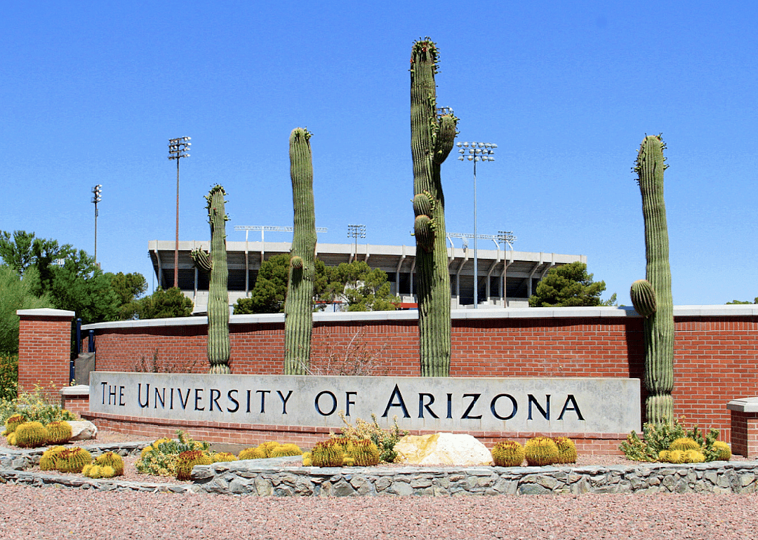 #95. University of Arizona
