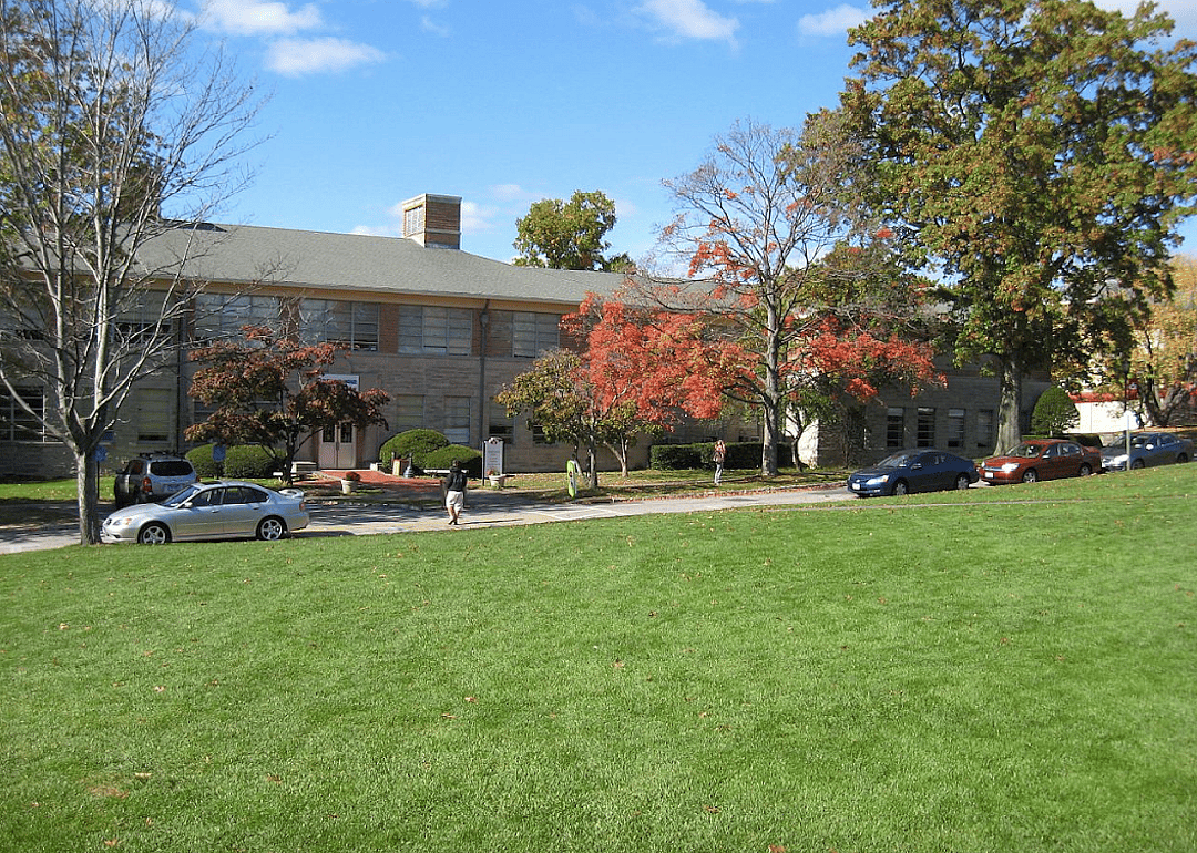 #60. Manhattanville College