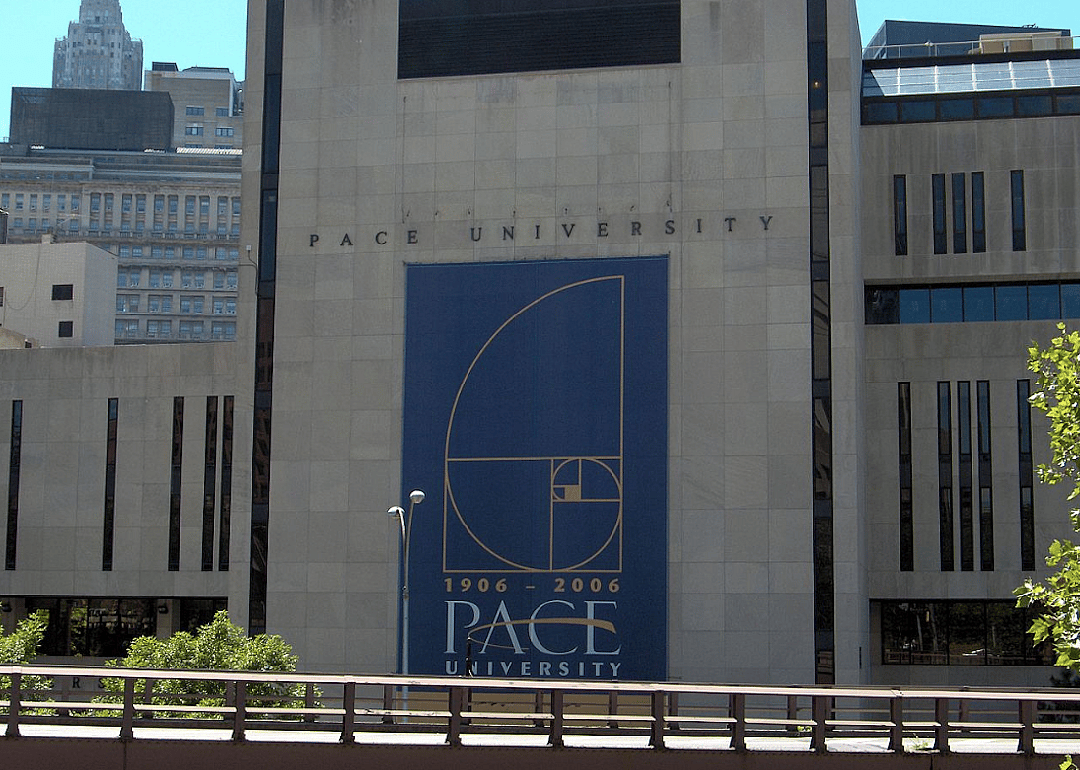 #31. Pace University