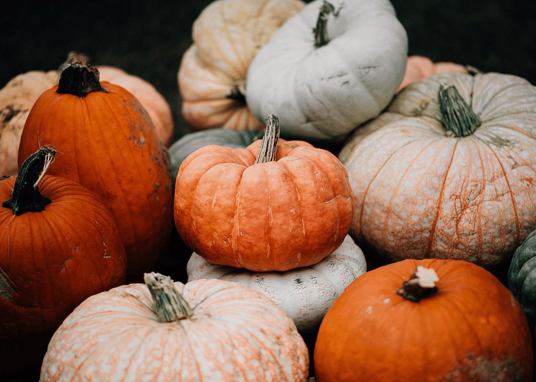 Pumpkin