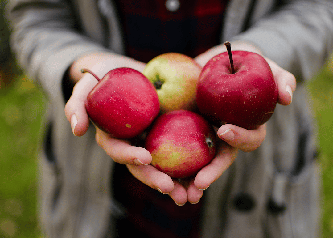 Apples