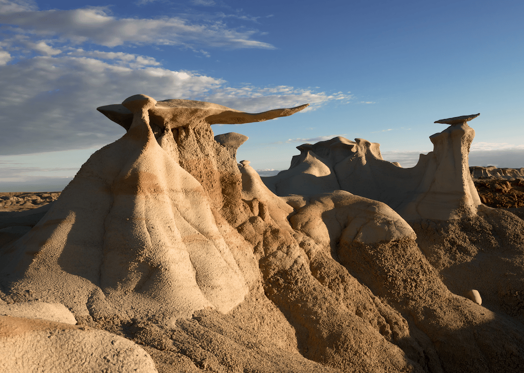 #49. New Mexico