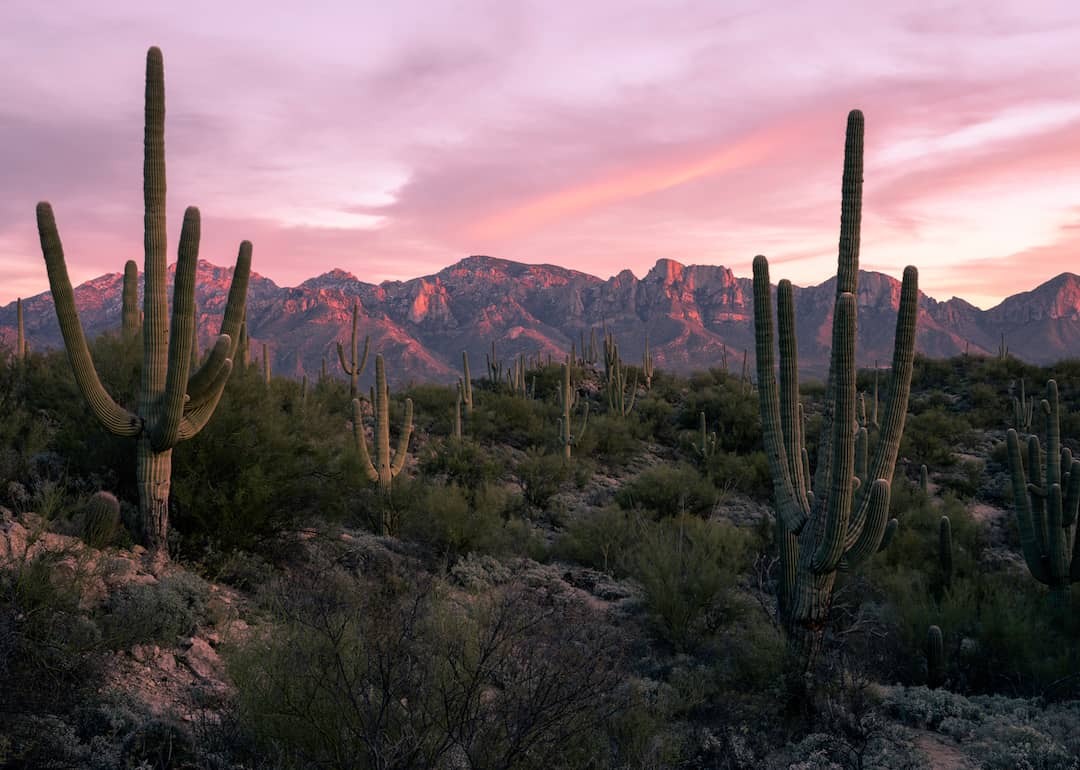 #50. Arizona