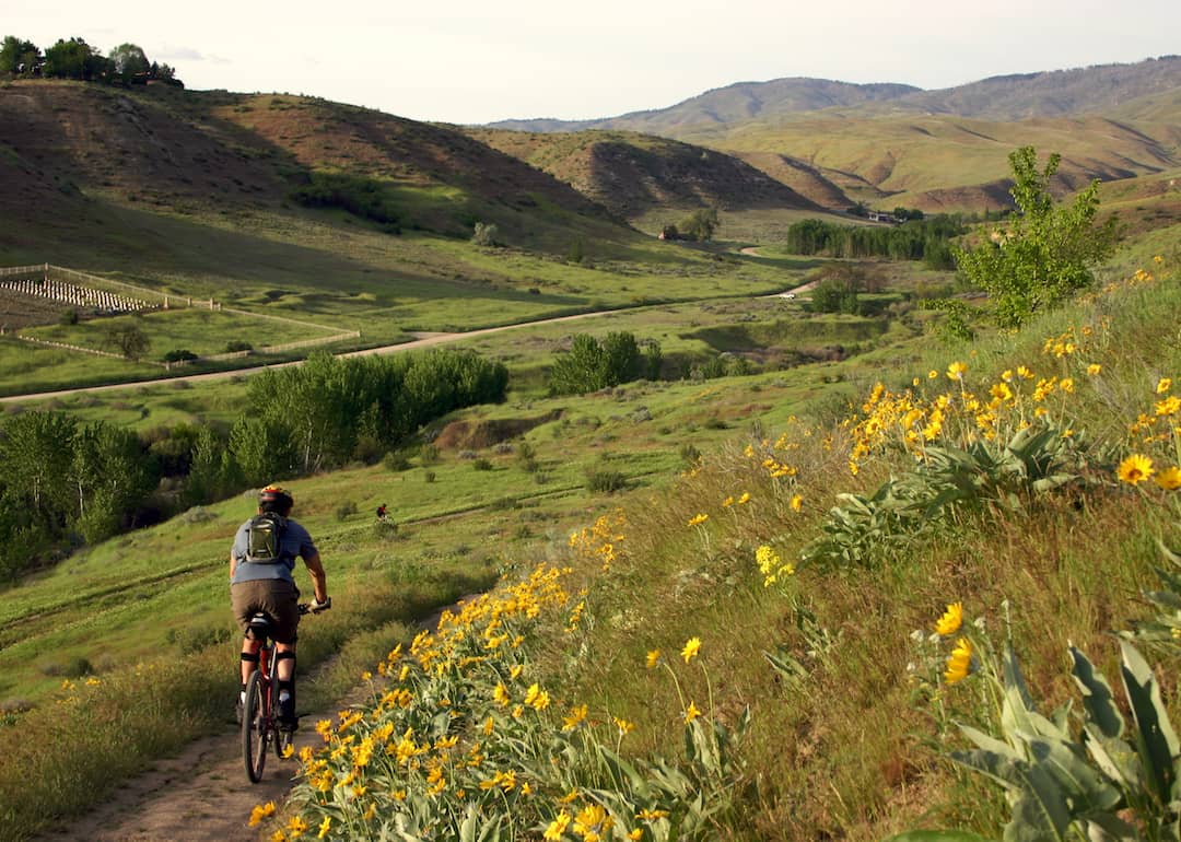 #30. Idaho