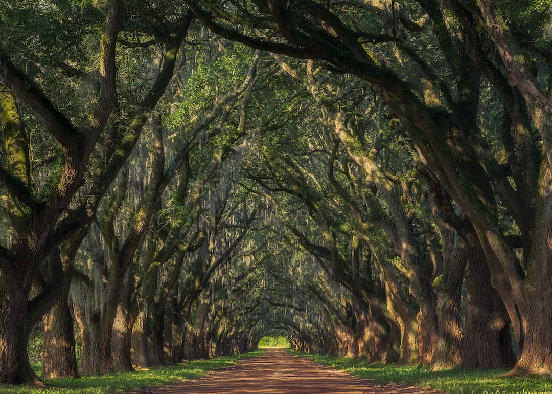 #3. Louisiana