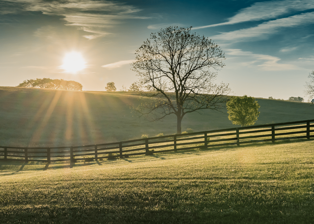 #1. Kentucky
