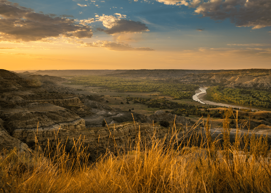 #31. North Dakota